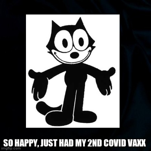 I'm Vaccinated! | SO HAPPY, JUST HAD MY 2ND COVID VAXX | image tagged in cats,covid 19,vaccine,funny memes,funny,happy | made w/ Imgflip meme maker