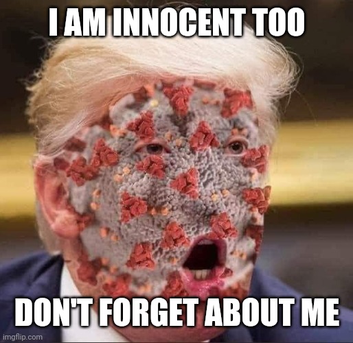 Trump's virus | I AM INNOCENT TOO DON'T FORGET ABOUT ME | image tagged in trump's virus | made w/ Imgflip meme maker