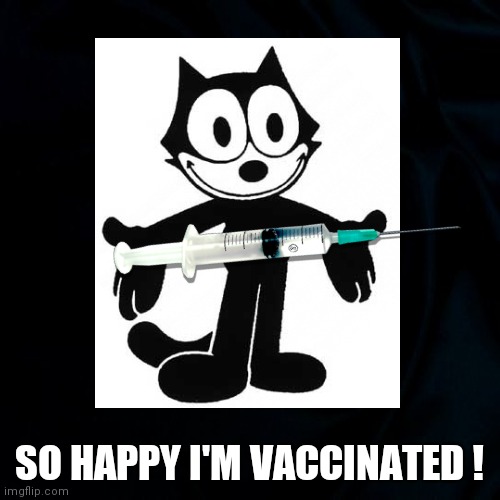 So Happy! | SO HAPPY I'M VACCINATED ! | image tagged in happy,vaccine,cats,covid 19,funny covid memes,funny | made w/ Imgflip meme maker