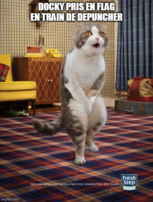 Gotta Go Cat Meme | DOCKY PRIS EN FLAG EN TRAIN DE DEPUNCHER | image tagged in memes,gotta go cat | made w/ Imgflip meme maker