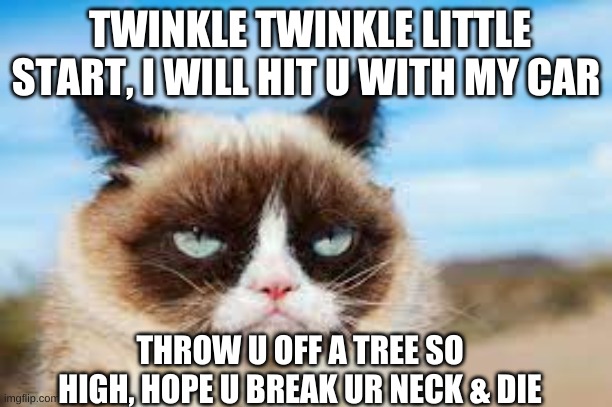 Grumpy's version of Twinkle Twinkle little star (repost) | TWINKLE TWINKLE LITTLE START, I WILL HIT U WITH MY CAR; THROW U OFF A TREE SO HIGH, HOPE U BREAK UR NECK & DIE | image tagged in grumpy cat | made w/ Imgflip meme maker