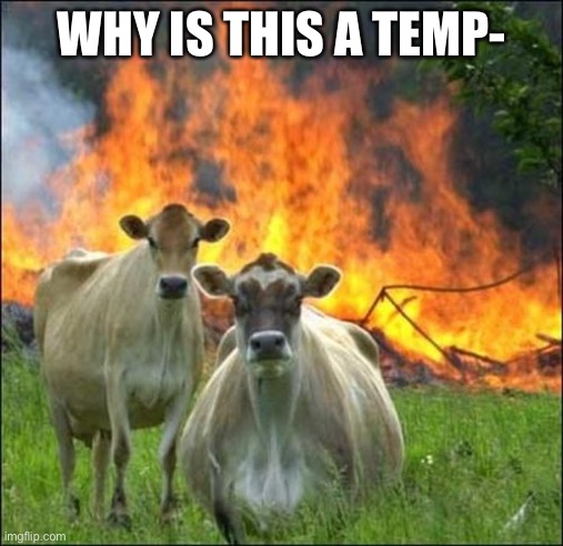Evil Cows Meme | WHY IS THIS A TEMP- | image tagged in memes,evil cows | made w/ Imgflip meme maker