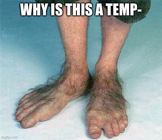 hairy-feet-imgflip