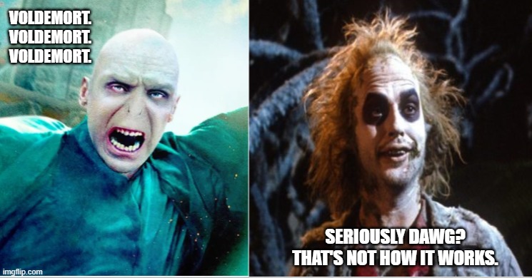 Seriously Dawg | VOLDEMORT. VOLDEMORT. VOLDEMORT. SERIOUSLY DAWG? THAT'S NOT HOW IT WORKS. | image tagged in voldemort,beetlejuice | made w/ Imgflip meme maker