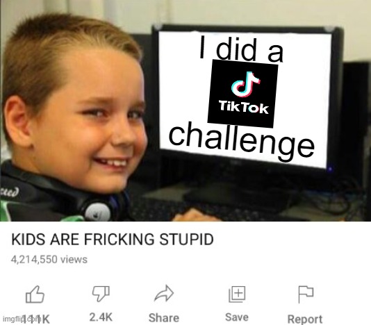 Kids are fricking stupid | I did a; challenge | image tagged in kids are fricking stupid,memes,tiktok,tiktok challenges | made w/ Imgflip meme maker