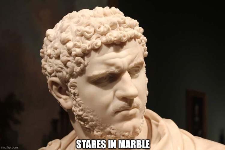 Stares in | STARES IN MARBLE | image tagged in memes | made w/ Imgflip meme maker