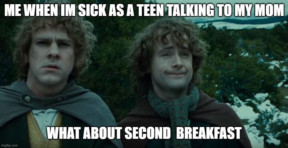 What about second breakfast? | ME WHEN IM SICK AS A TEEN TALKING TO MY MOM; WHAT ABOUT SECOND  BREAKFAST | image tagged in what about second breakfast | made w/ Imgflip meme maker