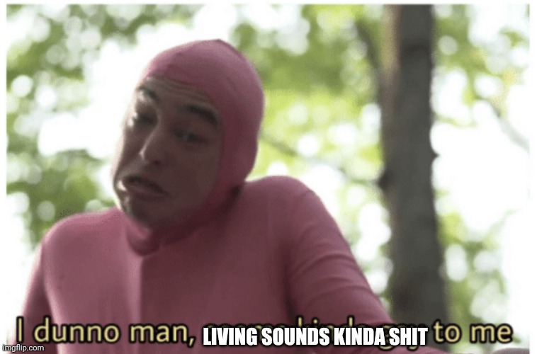 Idk man seems kinda gay | LIVING SOUNDS KINDA SHIT | image tagged in idk man seems kinda gay | made w/ Imgflip meme maker