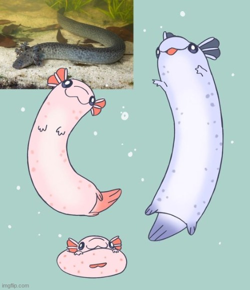 it looks like furret but it's a aloxil i think - | made w/ Imgflip meme maker