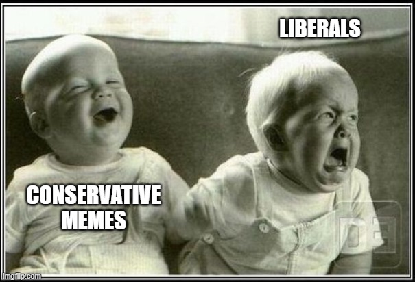 Imgflip liberals are miserable, unfunny and insufferable. | LIBERALS; CONSERVATIVE MEMES | image tagged in liberals,triggered,unfunny,enraged,unhinged,dimwits,ConservativesOnly | made w/ Imgflip meme maker