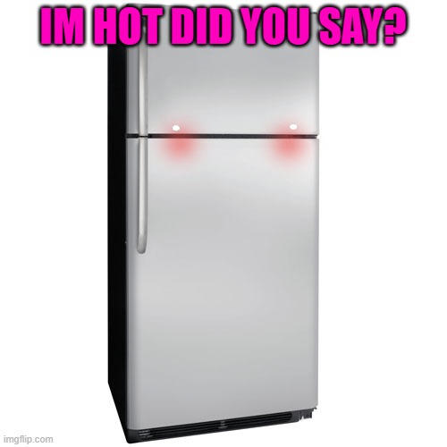 Fridge | IM HOT DID YOU SAY? | image tagged in fridge | made w/ Imgflip meme maker