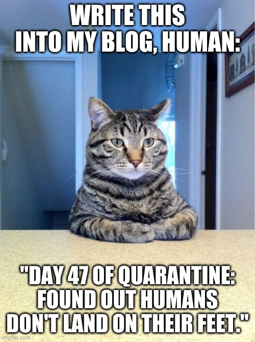 Take A Seat Cat |  WRITE THIS INTO MY BLOG, HUMAN:; "DAY 47 OF QUARANTINE: FOUND OUT HUMANS DON'T LAND ON THEIR FEET." | image tagged in memes,take a seat cat | made w/ Imgflip meme maker
