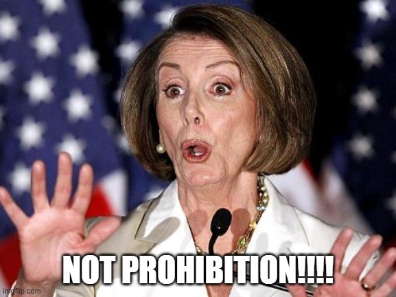 Pelosi Oh No | NOT PROHIBITION!!!! | image tagged in pelosi oh no | made w/ Imgflip meme maker