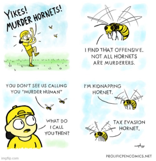 crime hornets | made w/ Imgflip meme maker