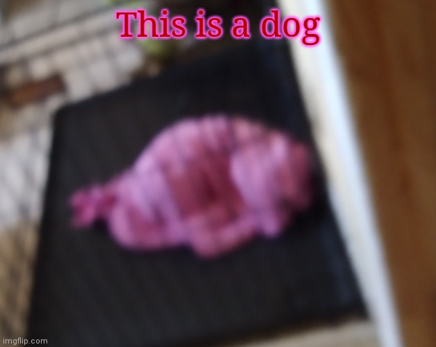 Yes | This is a dog | made w/ Imgflip meme maker