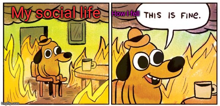 This Is Fine | My social life; How I fell | image tagged in memes,this is fine | made w/ Imgflip meme maker