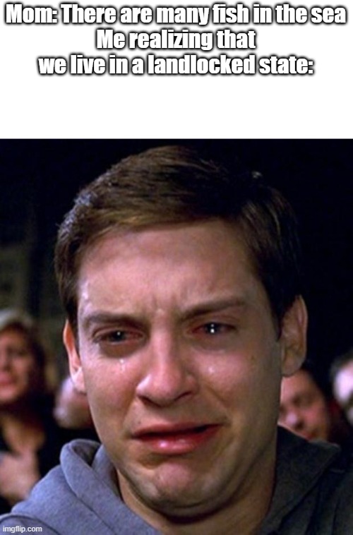 crying peter parker | Mom: There are many fish in the sea
Me realizing that we live in a landlocked state: | image tagged in crying peter parker | made w/ Imgflip meme maker