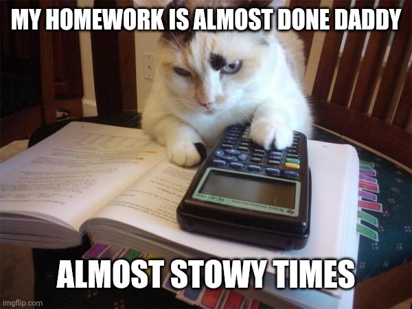 Math cat |  MY HOMEWORK IS ALMOST DONE DADDY; ALMOST STOWY TIMES | image tagged in math cat | made w/ Imgflip meme maker