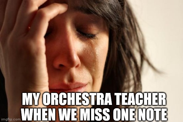 Sad life | MY ORCHESTRA TEACHER WHEN WE MISS ONE NOTE | image tagged in memes,first world problems | made w/ Imgflip meme maker