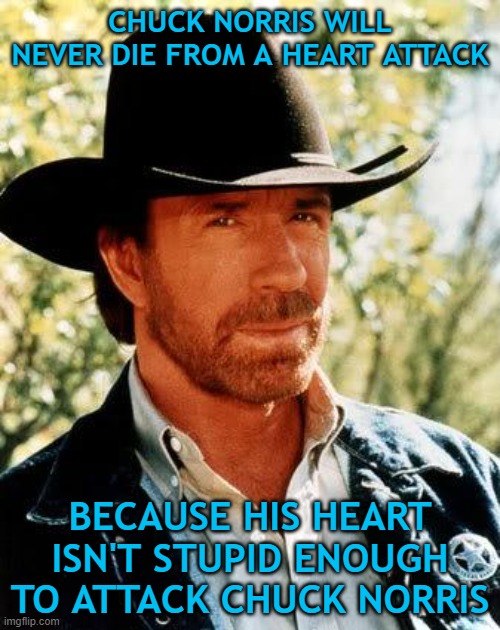 Chuck Norris | CHUCK NORRIS WILL NEVER DIE FROM A HEART ATTACK; BECAUSE HIS HEART ISN'T STUPID ENOUGH TO ATTACK CHUCK NORRIS | image tagged in memes,chuck norris | made w/ Imgflip meme maker