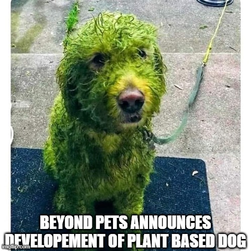 Vegan pets | BEYOND PETS ANNOUNCES DEVELOPEMENT OF PLANT BASED DOG | image tagged in mow responsibly | made w/ Imgflip meme maker