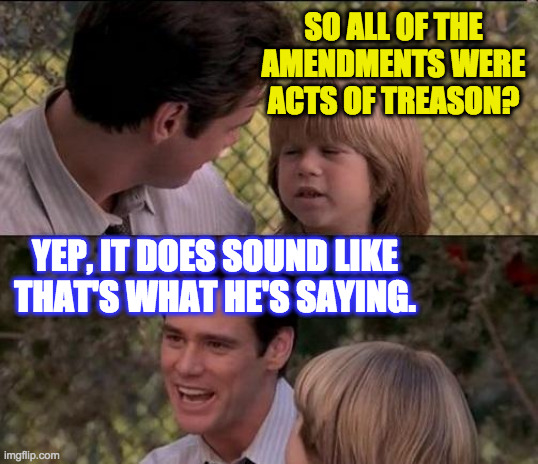 That's Just Something X Say Meme | SO ALL OF THE AMENDMENTS WERE ACTS OF TREASON? YEP, IT DOES SOUND LIKE THAT'S WHAT HE'S SAYING. | image tagged in memes,that's just something x say | made w/ Imgflip meme maker