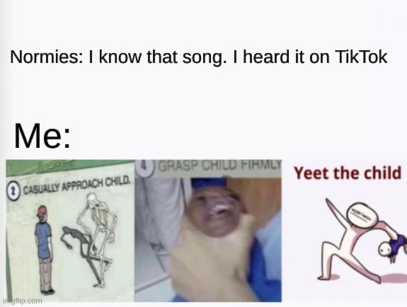 The following is a public service announcement. | Normies: I know that song. I heard it on TikTok; Me: | image tagged in casually approach child grasp child firmly yeet the child,tiktok sucks,normies | made w/ Imgflip meme maker