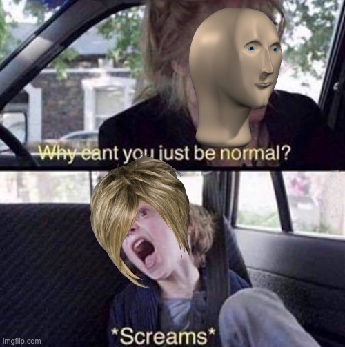 I still like Karens | image tagged in why can't you just be normal,stop reading the tags | made w/ Imgflip meme maker