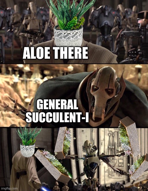 I like plants ok? | ALOE THERE; GENERAL SUCCULENT-I | image tagged in general kenobi hello there,star wars | made w/ Imgflip meme maker
