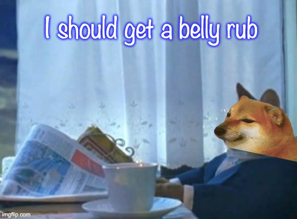 Cheems contemplates | I should get a belly rub | image tagged in memes,i should buy a boat cat,cheems,luxury | made w/ Imgflip meme maker