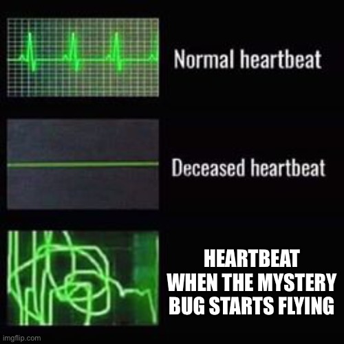AAAAAAAAAA | HEARTBEAT WHEN THE MYSTERY BUG STARTS FLYING | image tagged in heartbeat rate | made w/ Imgflip meme maker