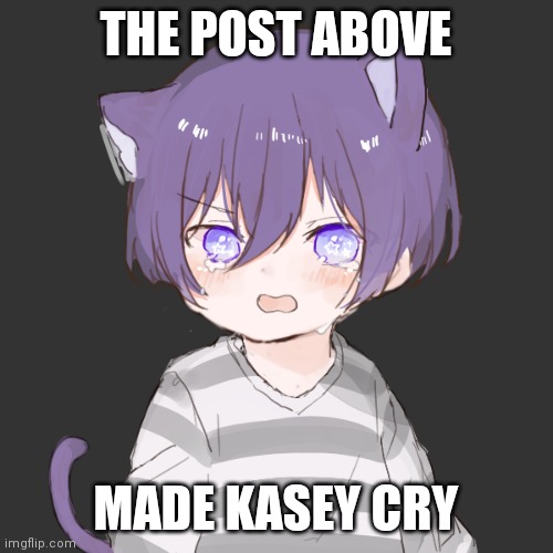 Upset Kasey | THE POST ABOVE; MADE KASEY CRY | image tagged in upset kasey | made w/ Imgflip meme maker