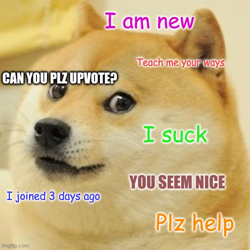 Plz help | I am new; Teach me your ways; CAN YOU PLZ UPVOTE? I suck; YOU SEEM NICE; I joined 3 days ago; Plz help | image tagged in memes,doge | made w/ Imgflip meme maker