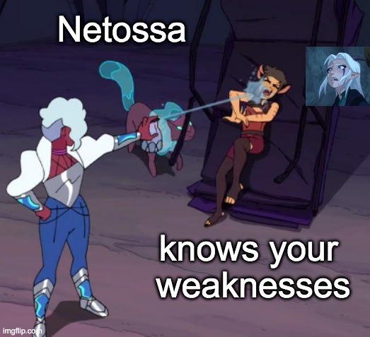 She-ra and Dragon Prince crossover | Netossa; knows your 
weaknesses | image tagged in dragon prince,she-ra,strategy | made w/ Imgflip meme maker