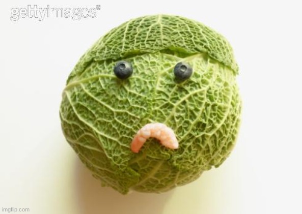 sad cabbage | image tagged in sad cabbage | made w/ Imgflip meme maker