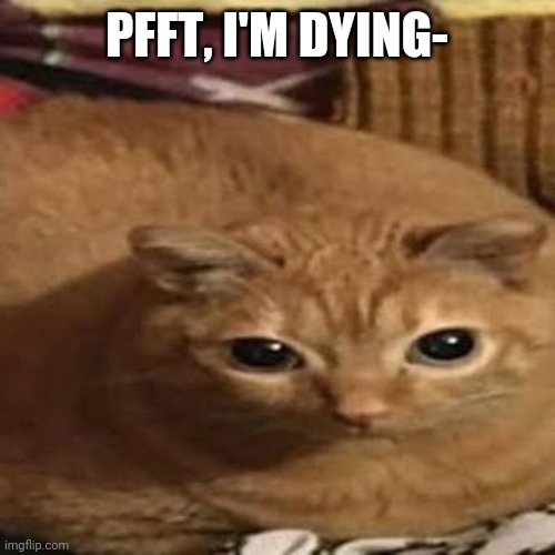 PFFT, I'M DYING- | made w/ Imgflip meme maker