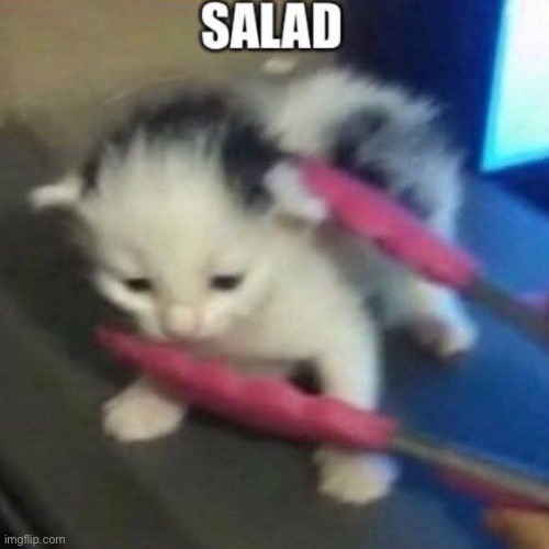 I love Chinese salad | made w/ Imgflip meme maker
