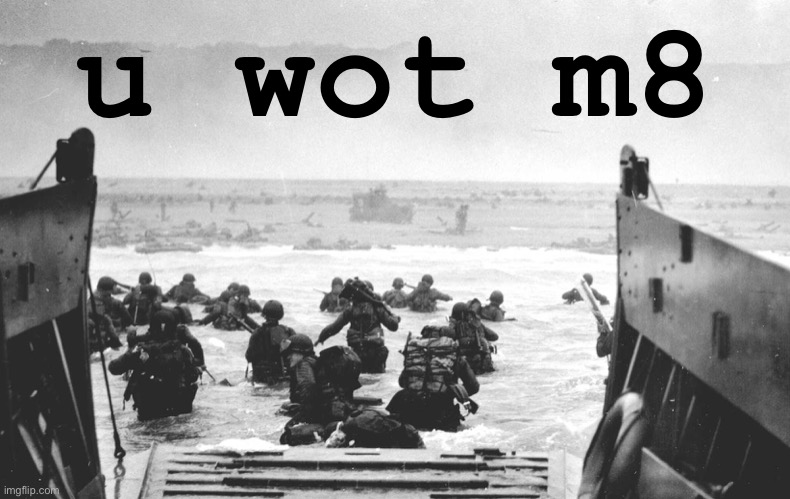 These guys have a bone to pick with the notion FDR was pro-fascist | u wot m8 | image tagged in d-day landing | made w/ Imgflip meme maker
