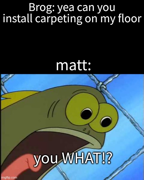 first post | Brog: yea can you install carpeting on my floor; matt:; you WHAT!? | image tagged in you what | made w/ Imgflip meme maker