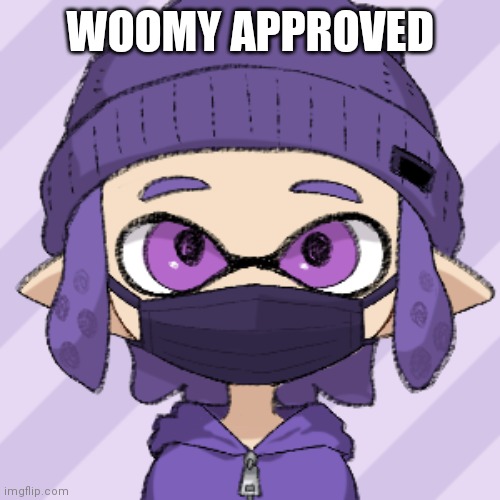 Bryce with mask | WOOMY APPROVED | image tagged in bryce with mask | made w/ Imgflip meme maker