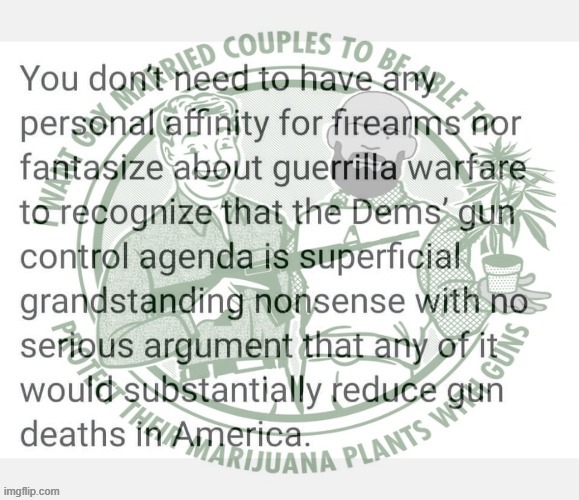 tl;dr i want gay married couples to be able to protect their marijuana plants with guns, maga | image tagged in gun control dems,gun control,gun rights,second amendment,guns,libertarian | made w/ Imgflip meme maker