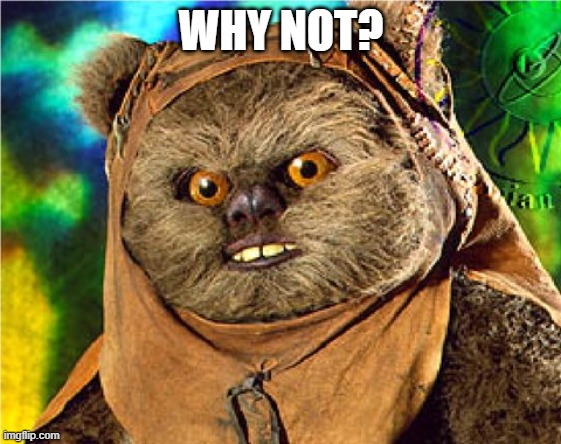 Angry Ewok | WHY NOT? | image tagged in angry ewok | made w/ Imgflip meme maker