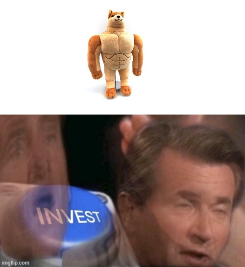 swole dog plush | image tagged in invest | made w/ Imgflip meme maker