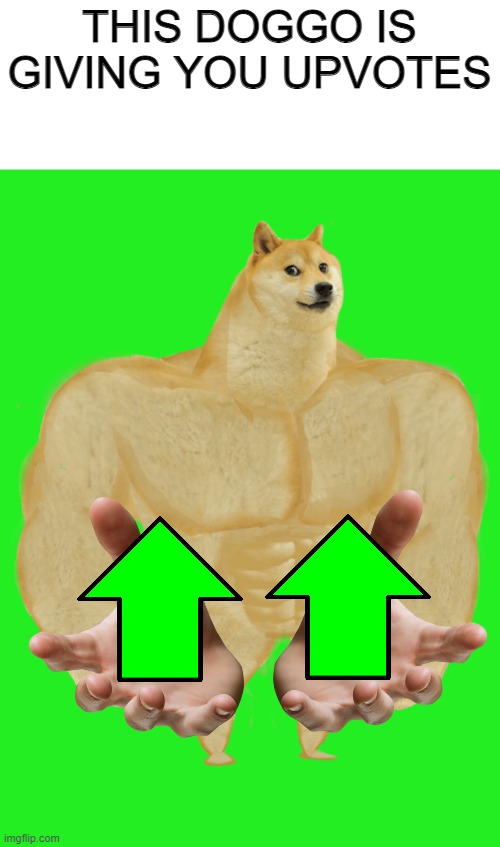 swole doge is giving you upvotes | THIS DOGGO IS GIVING YOU UPVOTES | image tagged in memes | made w/ Imgflip meme maker