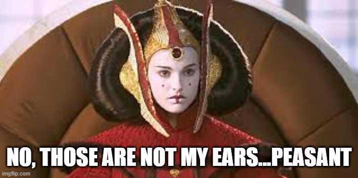 Never Insult the Queen | NO, THOSE ARE NOT MY EARS...PEASANT | image tagged in queen amadala | made w/ Imgflip meme maker