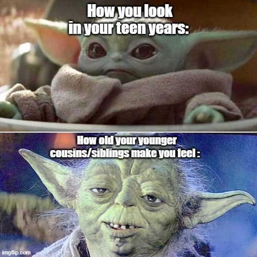 Baby Yoda Vs Old Yoda | How you look in your teen years:; How old your younger cousins/siblings make you feel : | image tagged in baby yoda vs old yoda | made w/ Imgflip meme maker