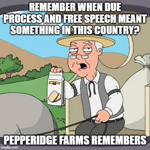 Pepperidge Farm Remembers Meme | REMEMBER WHEN DUE PROCESS AND FREE SPEECH MEANT SOMETHING IN THIS COUNTRY? PEPPERIDGE FARMS REMEMBERS | image tagged in memes,pepperidge farm remembers | made w/ Imgflip meme maker