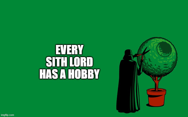 Darth Gardener | EVERY SITH LORD HAS A HOBBY | image tagged in star wars,darth vader | made w/ Imgflip meme maker