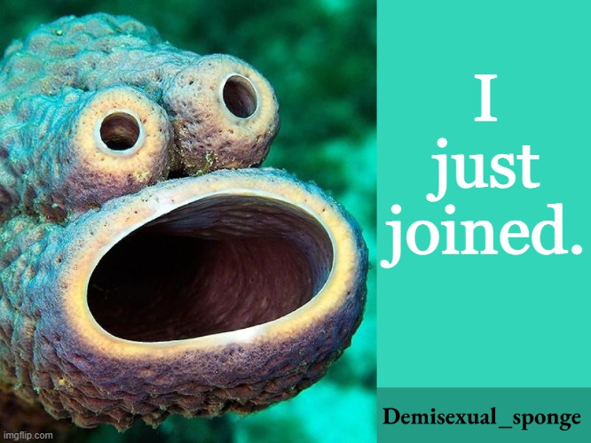 Hi | I just joined. | image tagged in demisexual_sponge | made w/ Imgflip meme maker