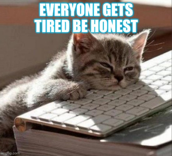 sleep cat | EVERYONE GETS TIRED BE HONEST | image tagged in sleep cat | made w/ Imgflip meme maker